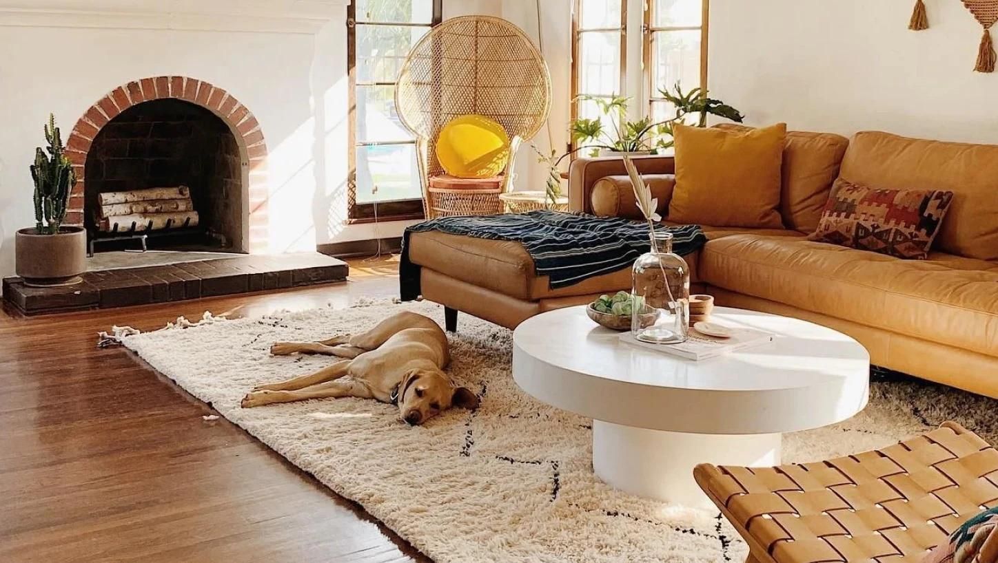 Sustainable Elegance: Why Choose a Berber Carpet for Your Flooring