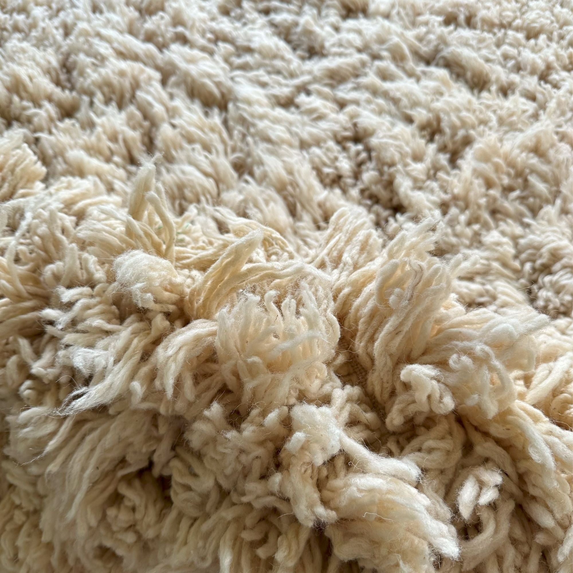 Atlas Echo - Soireeberber