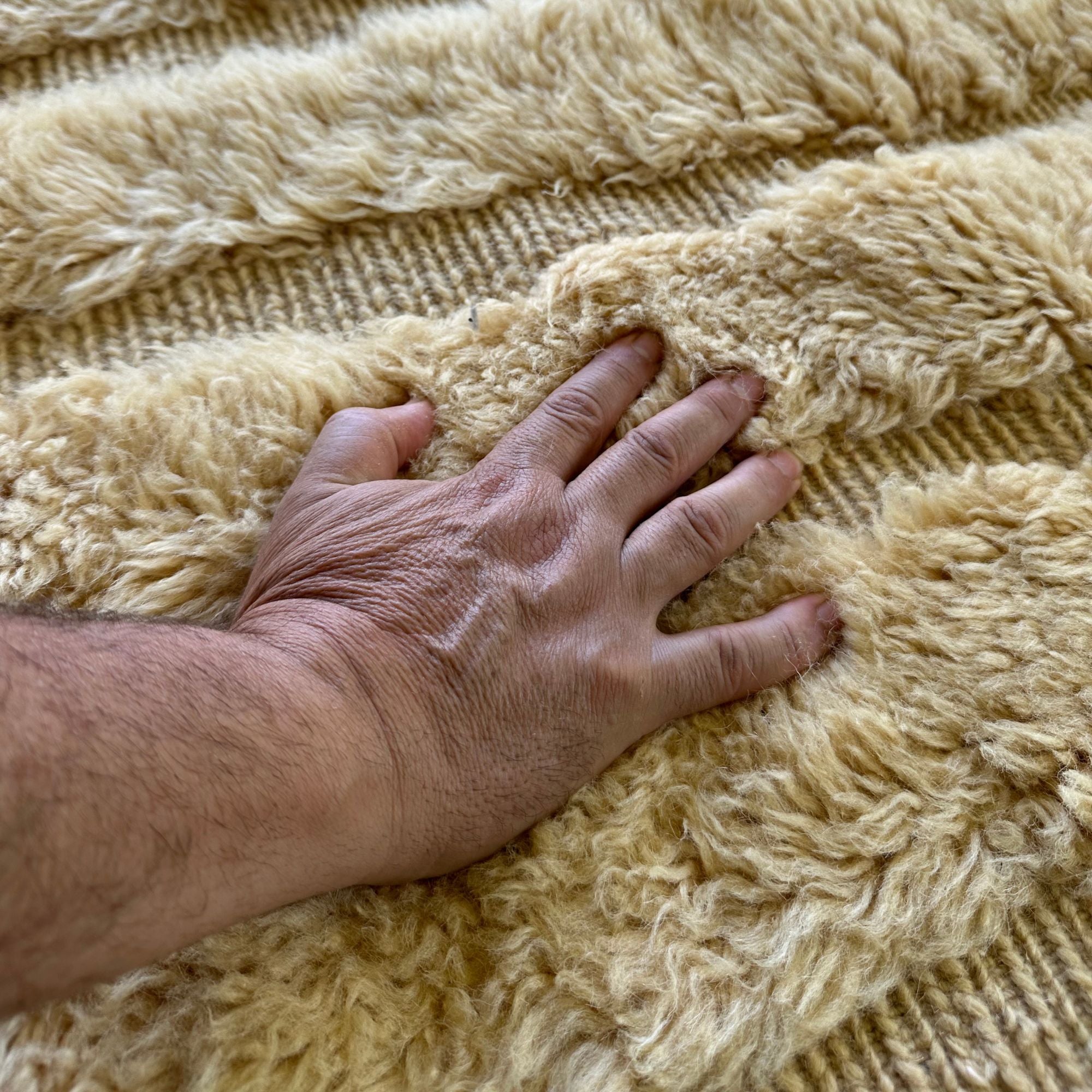 Serene Serenade - Soireeberber