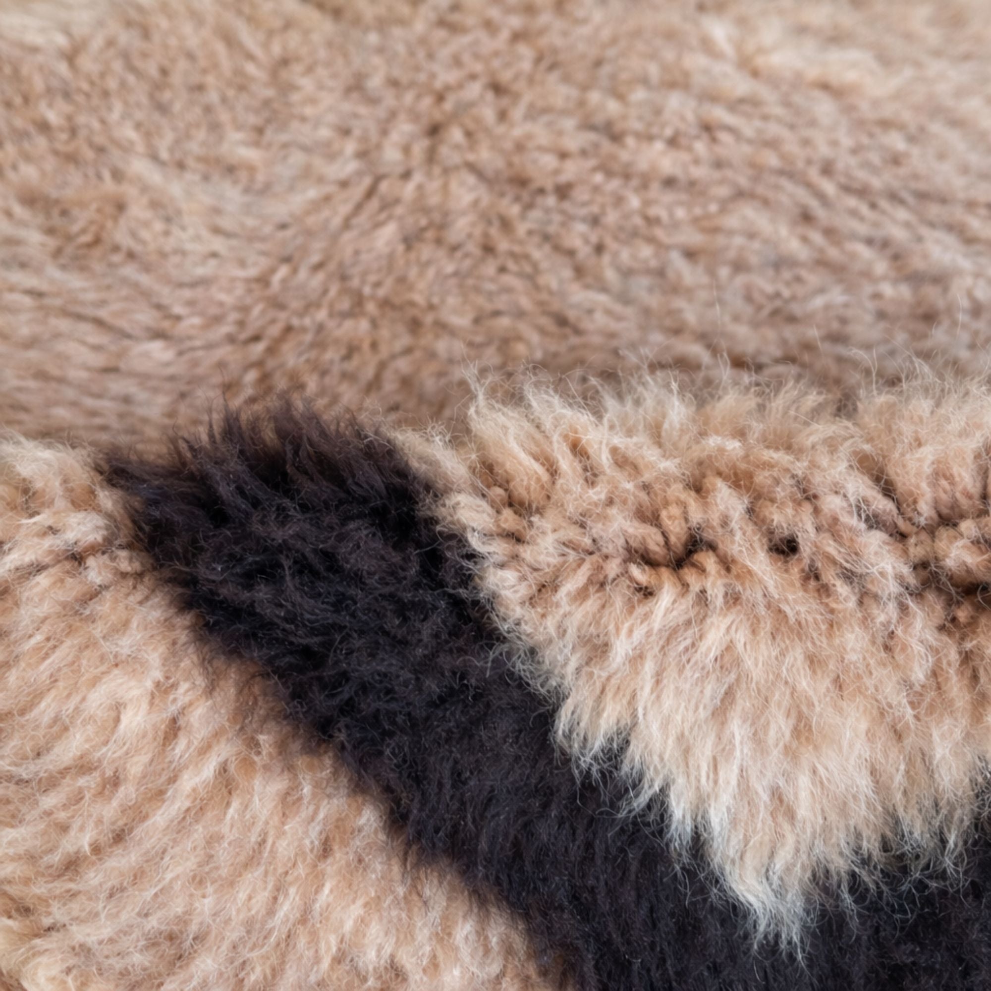 Detailed close-up of the Cadence rug border featuring black geometric motifs, natural wool texture, and artisanal Berber craftsmanship.